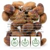 Organic Nutmeg Spice Pure Aromatic Grocery Food Ingredient-7