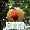 Organic Way Nutmeg Spice Pure Aromatic Culinary Essential-6