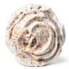 Morton Bassett Nutmeg Spice All Natural Gluten Free-4