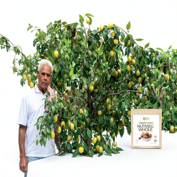True Organic Nutmeg Whole USDA Certified Ceylon Spice-6