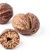 Spicy World Nutmeg Whole Premium Indonesian Spice 3.5oz-3